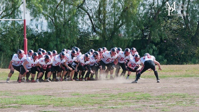 Castelfranco Cavaliers: quarti di finale a Catania